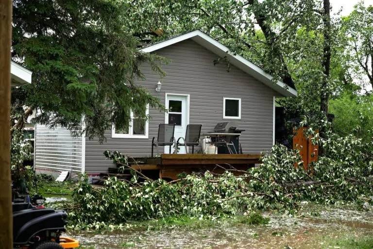A grey home with white trim and a wooden deck surrounded by fallen tree limbs and debris, highlighting the immediate need for a storm damage inspection to check for structural roof issues.