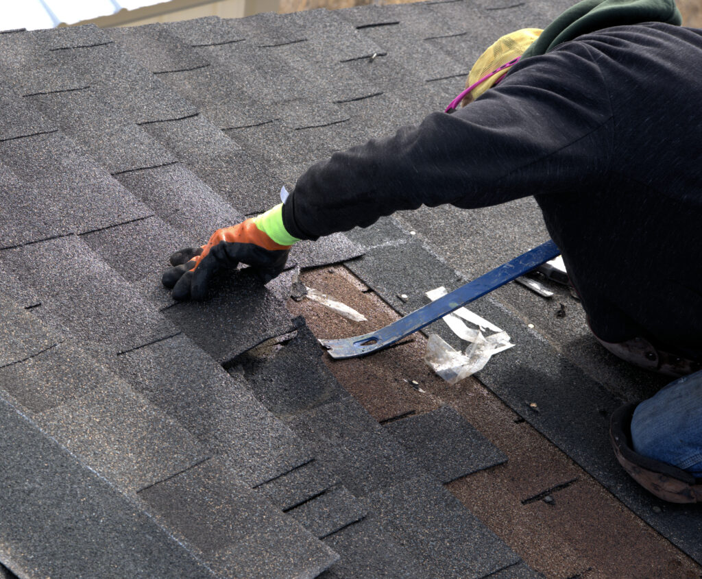 shingle roof repair Roofer uses a blue pry bar to remove damaged shinlges during the repair of a residential roof.
