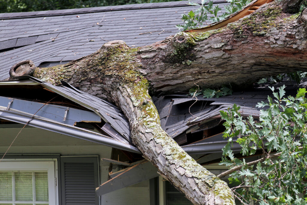 A heavy oak tree falls on a house during a storm buckling and crushing it