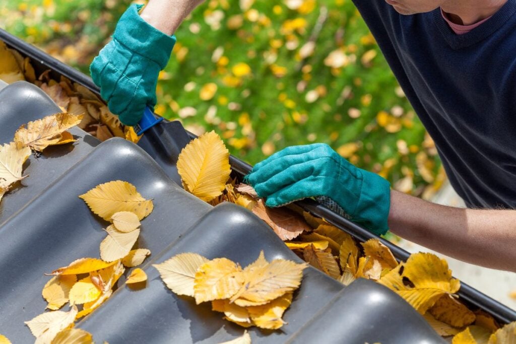 Someone cleaning the gutter